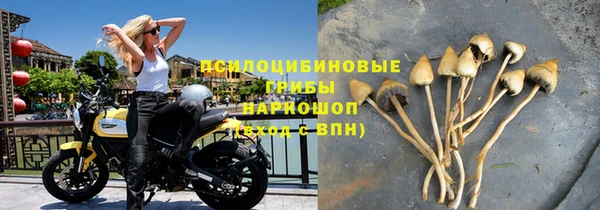 соль ск Алексеевка